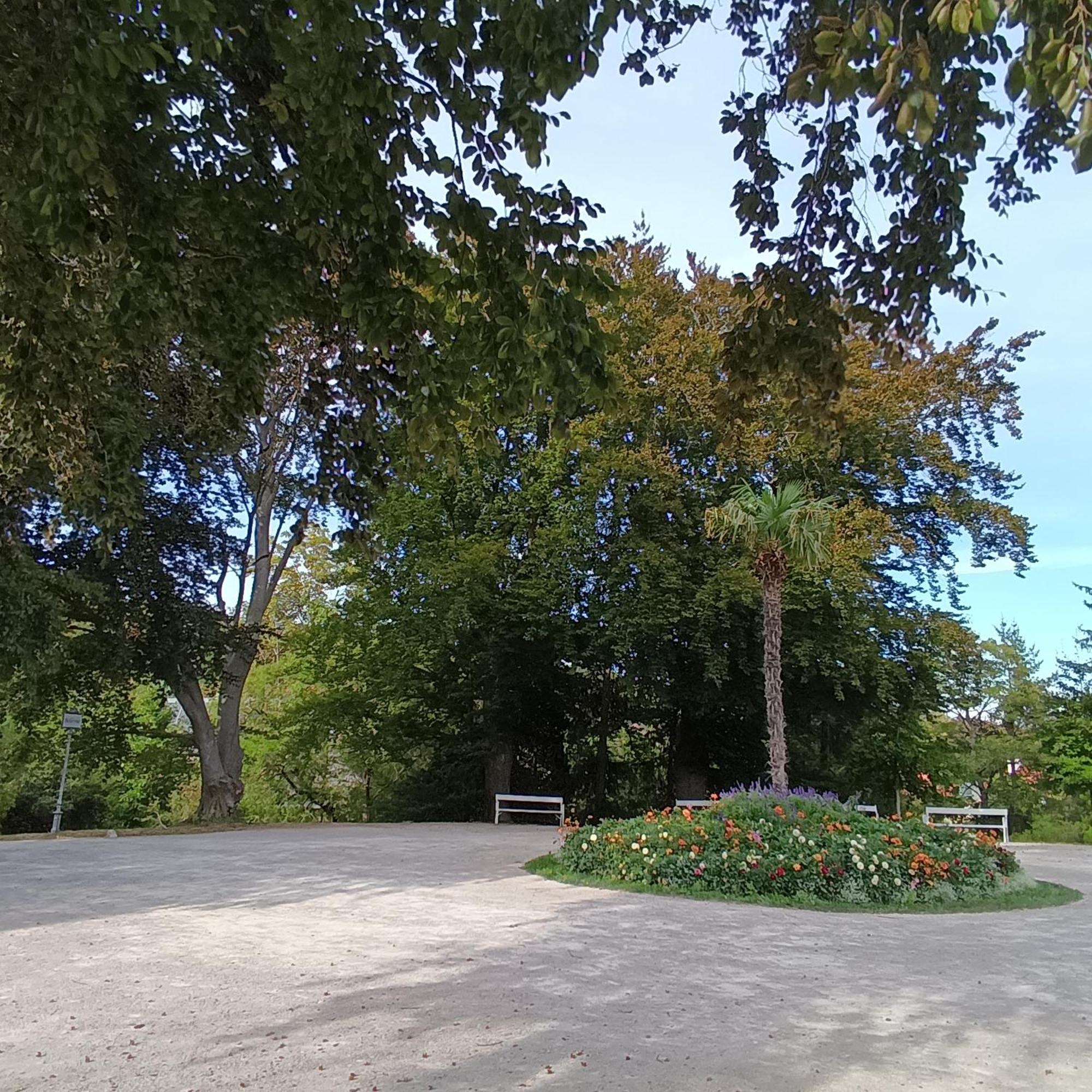 شقة Landhaus Am Kurpark بادن المظهر الخارجي الصورة